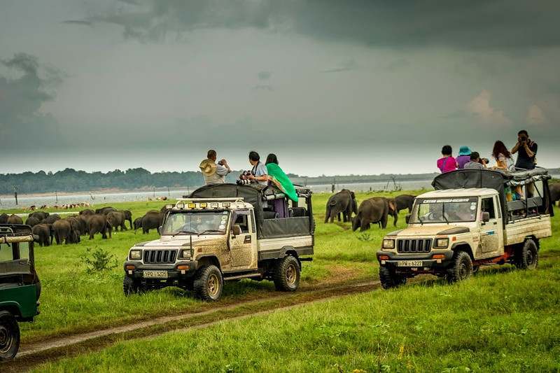 Safari tour Sri Lanka